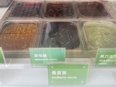 -Salud撒露欧洲冻酸奶(蓝色港湾店)