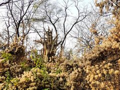 -沈阳植物园