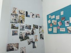 -龙景攀岩(海峡世茂广场店)