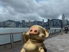 -星光大道