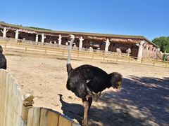 -鄂尔多斯野生动物园