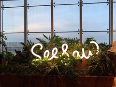 -Seesaw Coffee(朝阳大悦城店)