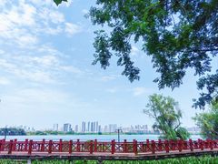-金银湖国家城市湿地公园