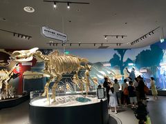 -厦门诚毅自然探索馆