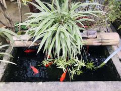 -胡桃里乐队酒馆(鎏嘉码头店)