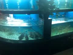 -王家渡火锅店(棕榈泉店)