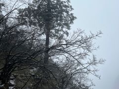 -峨眉山风景名胜区