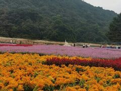 -广州市石门国家森林公园