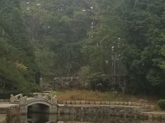 -庐山风景区花径公园