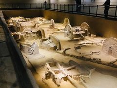 -洛阳周王城天子驾六博物馆