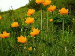 -小五台金河景区