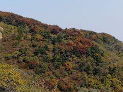 -阳台山自然风景区