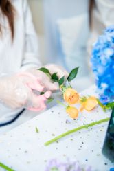 -圣贝拉母婴护理中心(深圳莱佛士店)