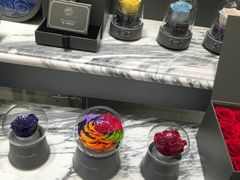 -ROSEONLY诺誓(国际广场购物中心店)