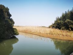 -沙家浜风景区