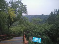 -大青沟风景区