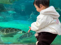 -海合安成都极地海洋公园