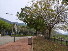 -风云岭森林公园