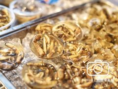 -铭聚章鱼土笋冻(松柏店)