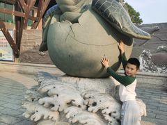-广东惠东海龟国家级自然保护区