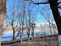 -长白岛森林公园