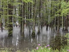 -东湖落雁景区