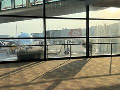 -上海浦东国际机场-T2航站楼