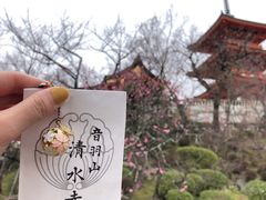 -有栖山 清光院 清水寺