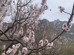 -北京凤凰岭