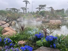 -罗红摄影艺术馆