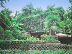 -野蔓果·山野菜(西湖景区·龙井茶田店)