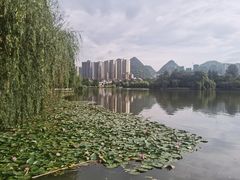 -凤池园
