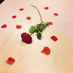 -脉道美容养生会所