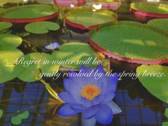 -国家植物园南园