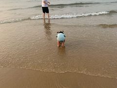 -那香海钻石沙滩浴场