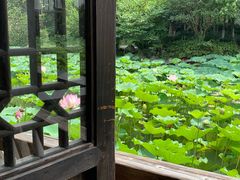 -乌镇望津里精品酒店