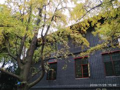 -四川大学(华西校区)