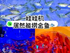 -万达广场(北京槐房店)