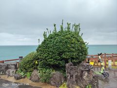 -龙头岩(Dragon Head Rock)