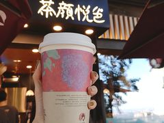 -茶颜悦色(岳麓山顶店)