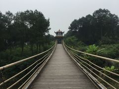 -铁山坪森林公园