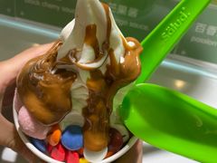 -Salud撒露欧洲冻酸奶(蓝色港湾店)