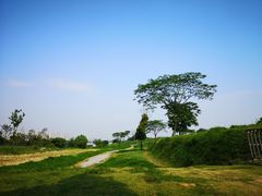 -盘龙城国家考古遗址公园