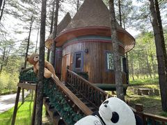 -洛阳白云山景区