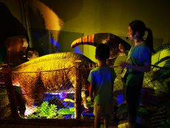 -恐龙探索乐园(磁器口店)