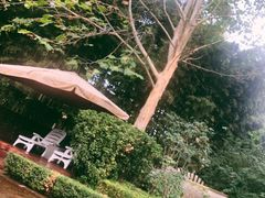 -春晖园度假酒店温泉