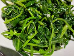 -壹盏灯(惠农店)