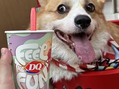 -DQ·蛋糕·冰淇淋(五角场万达店)