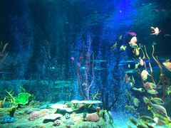 -沈阳海洋探索中心