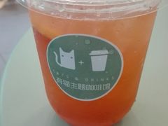 -有猫主题·治愈系猫咖(曾厝垵店)